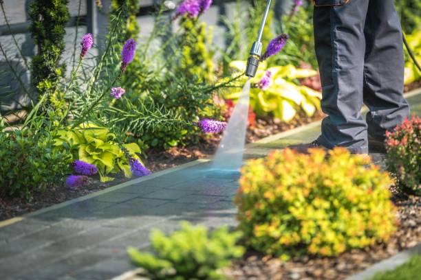 Best Patio and Deck Pressure Washing  in Belleair Bluffs, FL